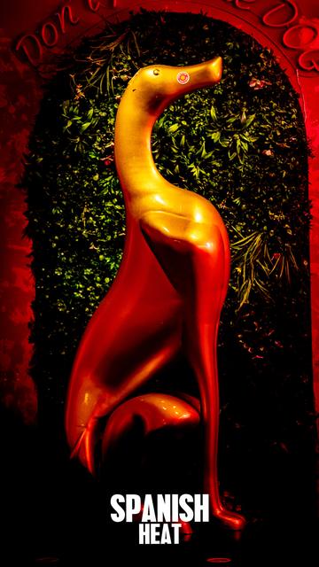 Club Oliva – photo 62