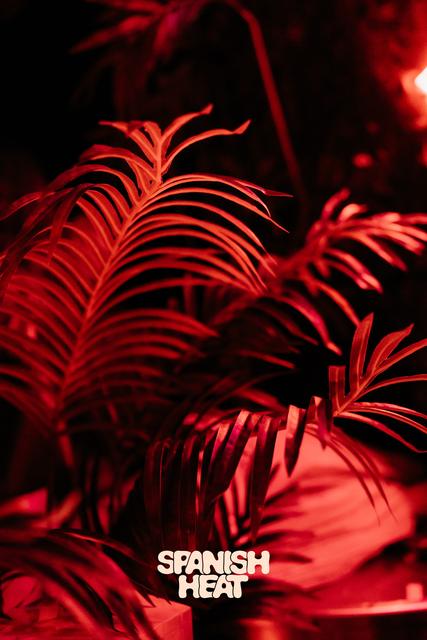 Carpe Noctem – photo 120