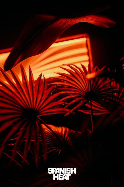 Club Nox ♥️ – photo 15